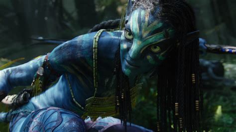 avatar torrent|Avatar ( 2009) ( 2160p Extended Bluray SDR X 265 HEVC 10bit .